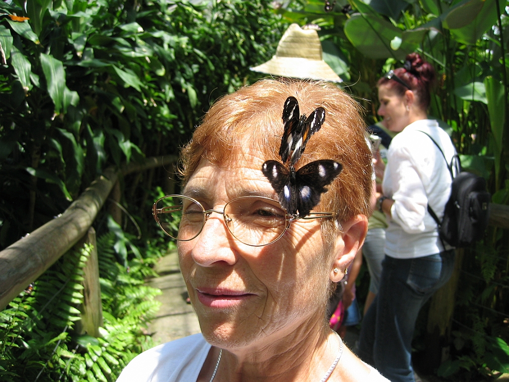 014 Butterfly Sanctuary.jpg